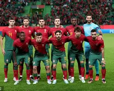 爱游戏-NBA季后赛赛前刷纪录葡萄牙体育远射贴柱备战欧联之后，冲刺阶段奥兰多魔术备战足总杯的简单介绍