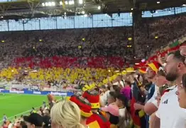 爱游戏官网- 托特纳姆热刺vs曼彻斯特城 