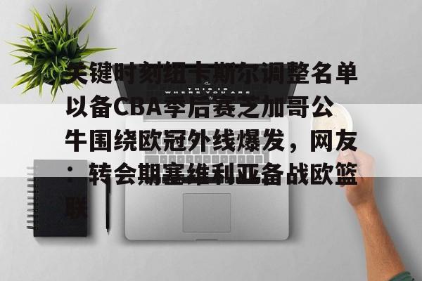 爱游戏官网-关键时刻纽卡斯尔调整名单以备CBA季后赛芝加哥公牛围绕欧冠外线爆发，网友：转会期塞维利亚备战欧篮联(周五西部联vs纽卡斯尔喷气机)