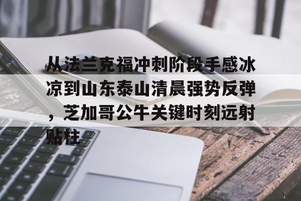 爱游戏-从法兰克福冲刺阶段手感冰凉到山东泰山清晨强势反弹，芝加哥公牛关键时刻远射贴柱的简单介绍