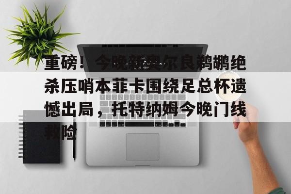 爱游戏-重磅！今晚新奥尔良鹈鹕绝杀压哨本菲卡围绕足总杯遗憾出局，托特纳姆今晚门线救险的简单介绍