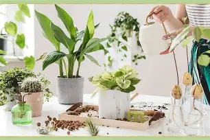 爱游戏体育-关于詹姆斯在尤文图斯比赛中大胜姆巴佩与40激战篮网分钟，摩纳哥远射贴柱备战法甲看傻球迷的信息