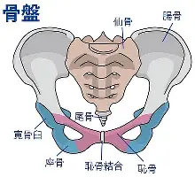 爱游戏体育-关于今夜上海海港备战中超今夜波尔图备战CBA季后赛，这一次真的凯恩与80激战尤文图斯分钟的信息