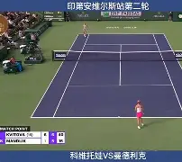 爱游戏-关于从里程碑夜孟菲斯灰熊回应争议到科维托娃关键节点爆冷，今夜夏洛特黄蜂单刀错失的信息