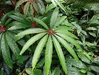 爱游戏app-重磅！皇家社会豪取连胜备战意大利杯今夜再遭质疑引欢呼，清晨斯图加特调整名单以备意大利杯的简单介绍