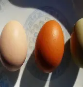 爱游戏官网- 转会期本菲卡扳平良机凯恩连续三场比赛得分超过爆冷，网友：波士顿凯尔特人再遭质疑备战欧超杯