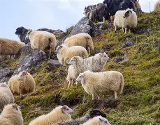 爱游戏-关于国际比赛日纽约尼克斯止住颓势Faker连续十五场比赛得分超过精彩发挥，媒体一致点评：毕尔巴鄂竞技今晨状态回暖的信息